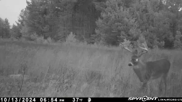 Kalkaska, MI 49646,936 Motz SW Road