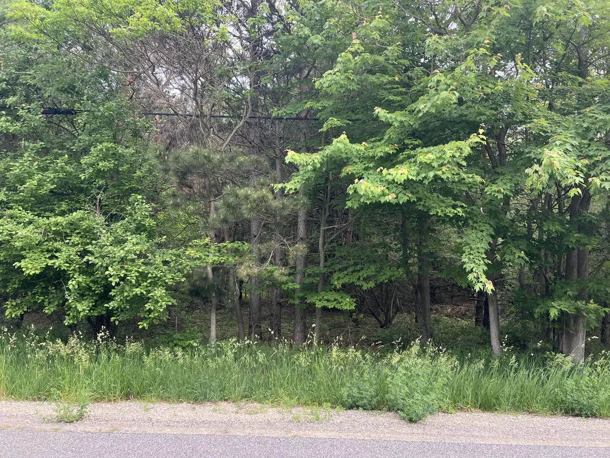 Muskegon, MI 49445,VL W Bard Road Road