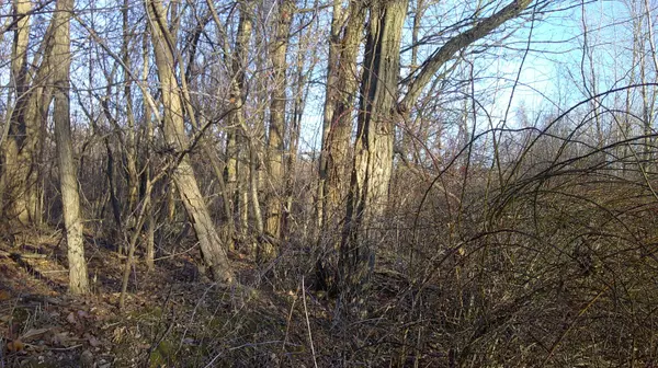 Cassopolis, MI 49031,Stewart Road