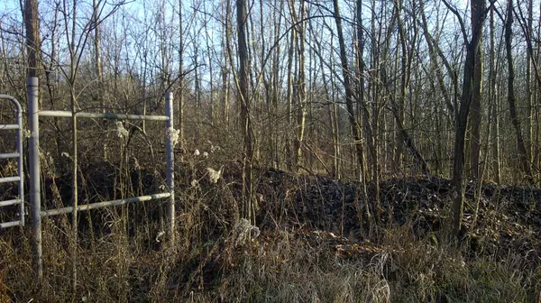 Cassopolis, MI 49031,Stewart Road