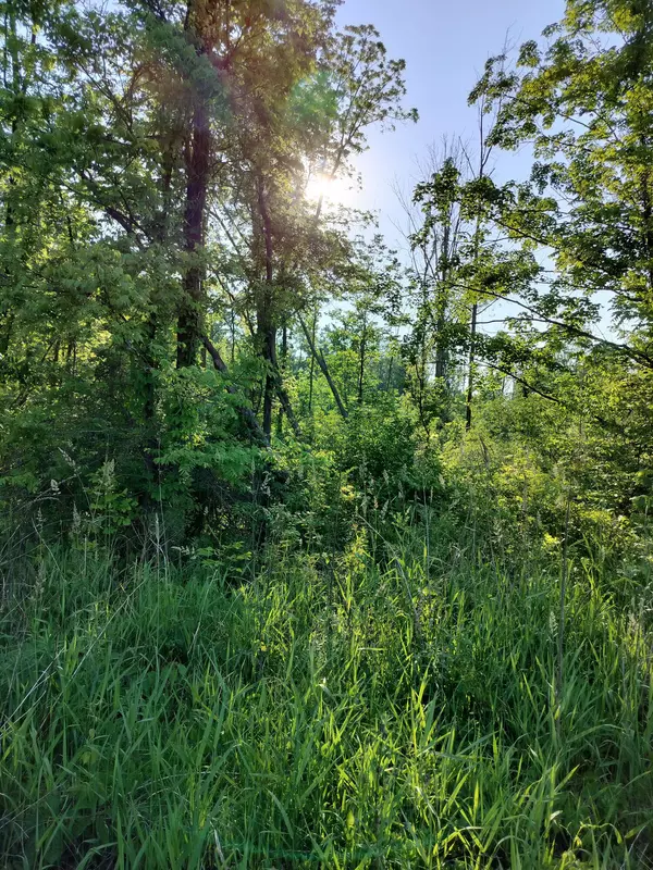 Fennville, MI 49408,VL 56th Street #B