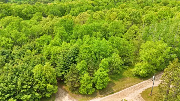 80+/- Acres V/L 140th Ave, Stanwood, MI 49346