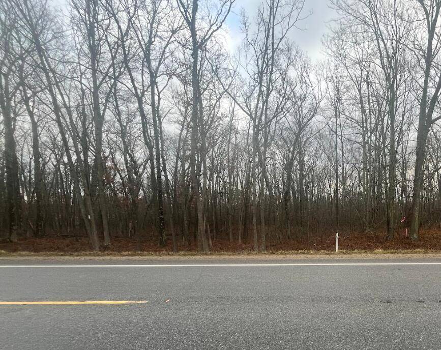 Bitely, MI 49309,00 N Woodbridge Avenue