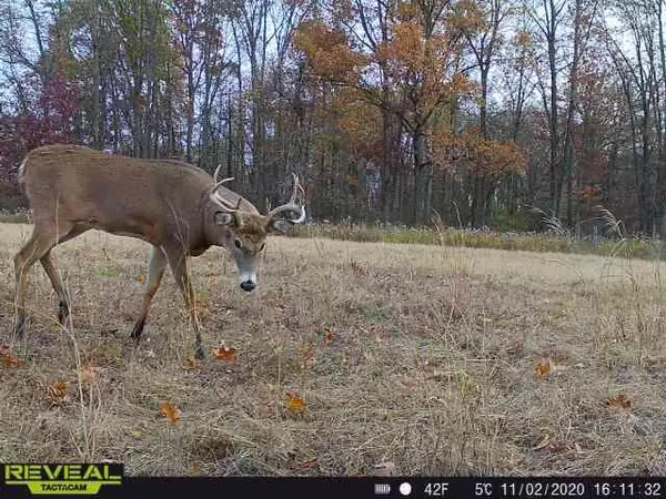 Jerome, MI 49249,9159 Moreland Road