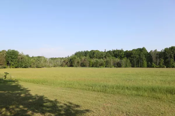 Lakeview, MI 48850,10750 N Gravel Ridge rd c