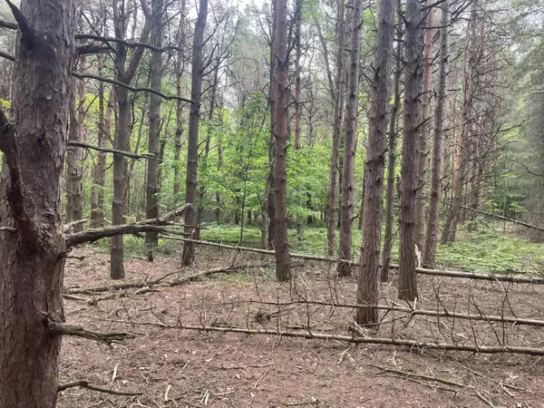 Shelby, MI 49455,SILVER LAKE DR Drive