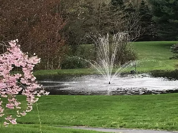 Allegan, MI 49010,1532 34th Street