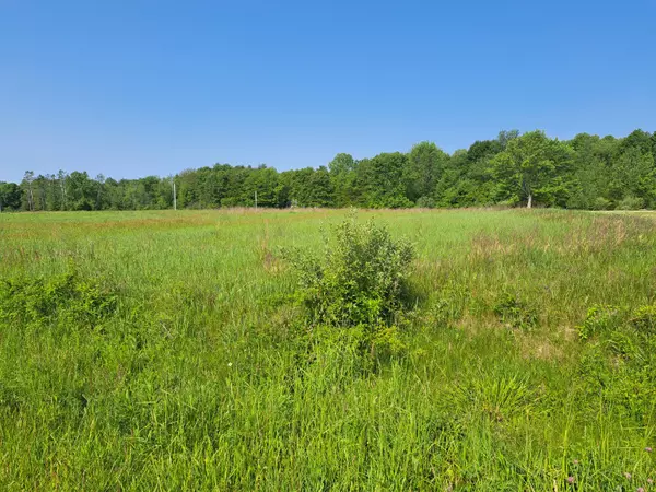 Gobles, MI 49055,2 Acres VL 36th Street