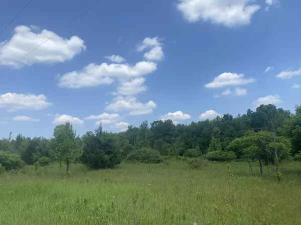 Grand Junction, MI 49056,V/L 102nd Avenue