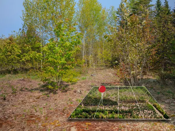 Brimley, MI 49715,Lot 2 W Pendills Lake Road