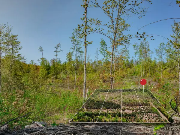 Brimley, MI 49715,Lot 4 W Pendills Lake Road