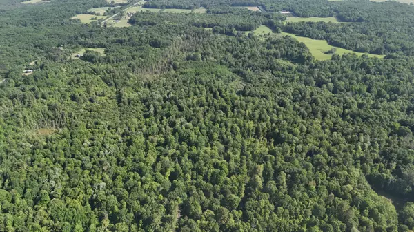 Brethren, MI 49619,16311 Dickson Road