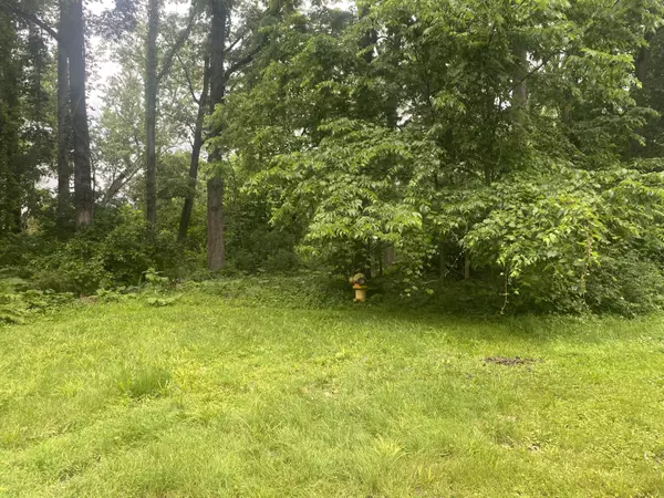 Grosse Ile, MI 48138,Vacant Southpointe Road