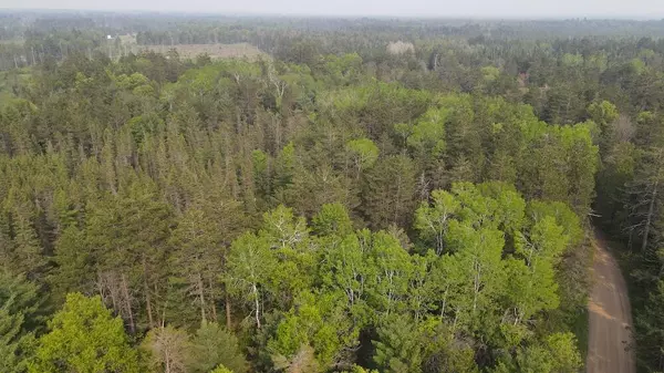 Grayling, MI 49738,Parcel A Cherry Creek Trail
