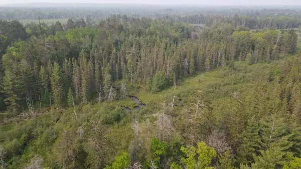 Grayling, MI 49738,Parcel B Cherry Creek Trail