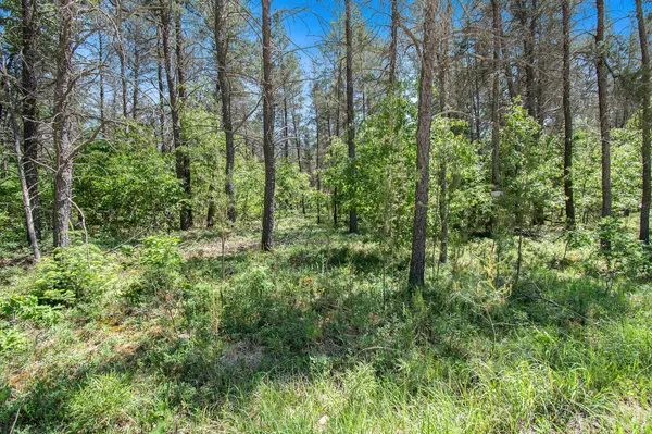 Roscommon, MI 48653,V/L(2.07A) Deep Wood Road