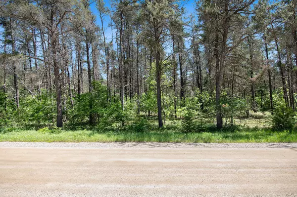 Roscommon, MI 48653,V/L(2.05A) Deep Wood Road