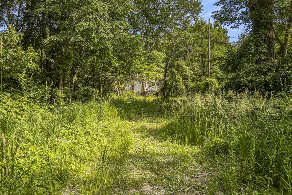 Ann Arbor, MI 48104,1288 Jewett Avenue