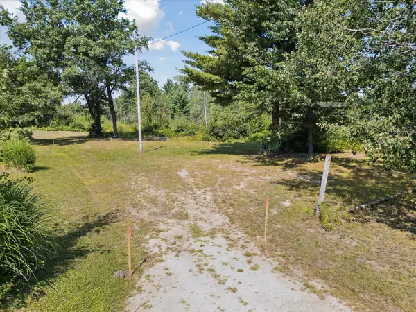 Houghton Lake, MI 48629,V/L N Townline Road