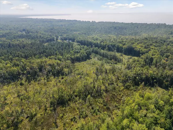 Houghton Lake, MI 48629,V/L N Townline Road