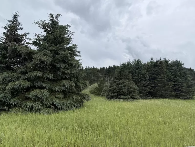 V/L Eight Mile Road, Kaleva, MI 49645