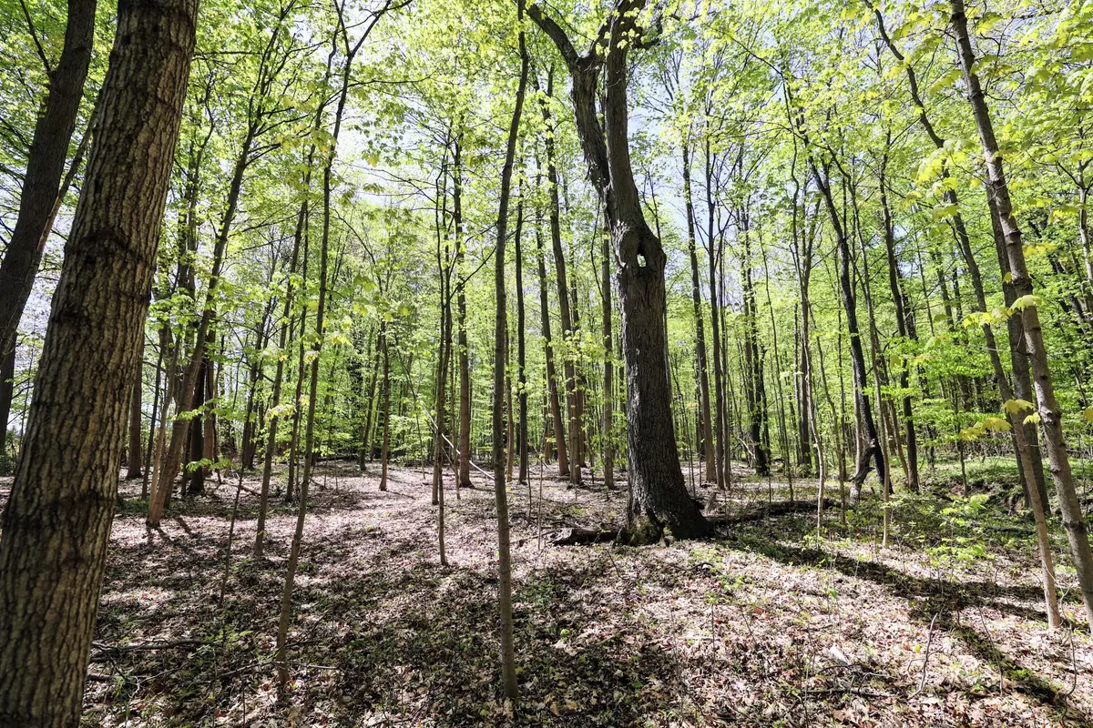 Grand Junction, MI 49056,VL Benny Ct (Private) #Parcel 2