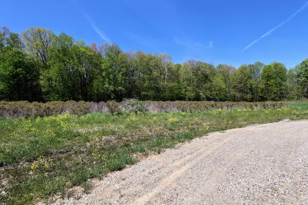 Grand Junction, MI 49056,VL Benny Ct (Private) #Parcel 2
