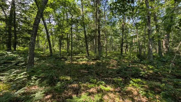 Free Soil, MI 49411,V/L Stark Road