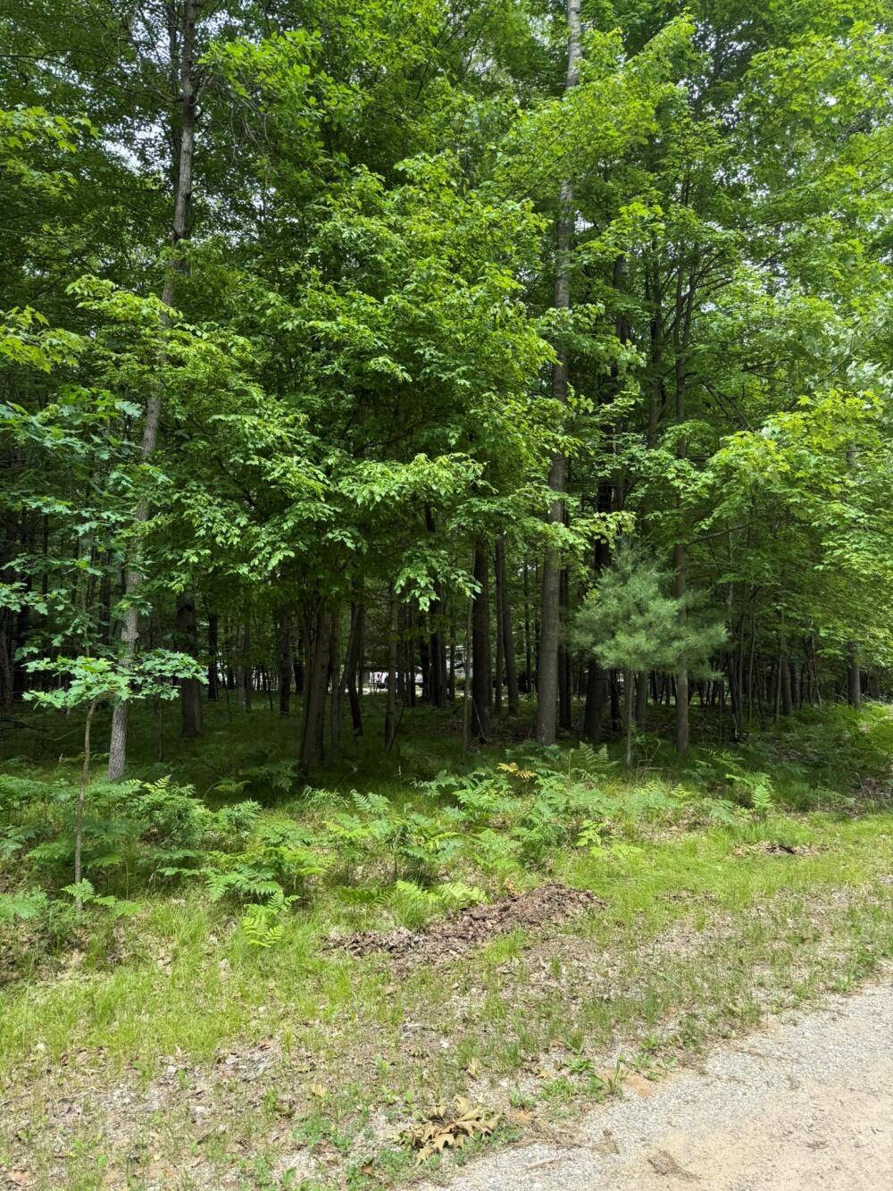 Stanwood, MI 49346,6823 Beechnut Ridge