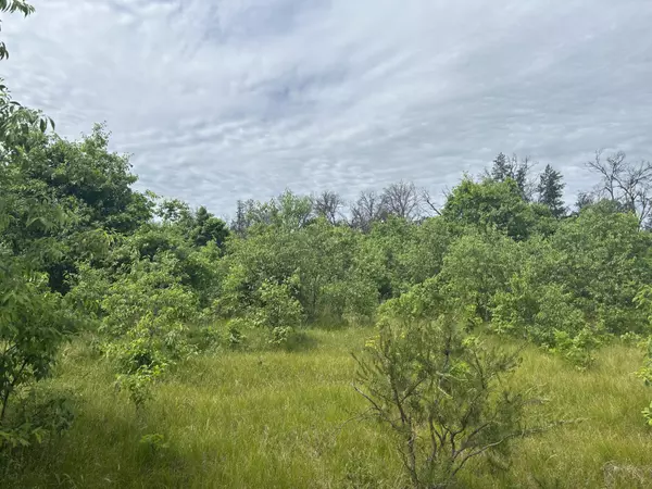 Idlewild, MI 49642,V/L E 38th Street