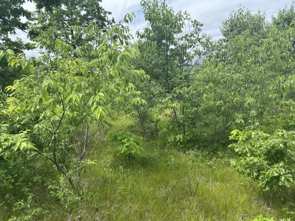 Idlewild, MI 49642,V/L E 38th Street