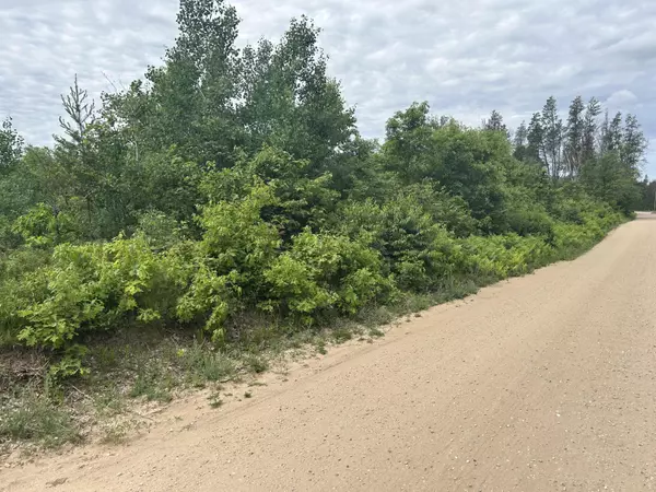 V/L E 38th Street, Idlewild, MI 49642