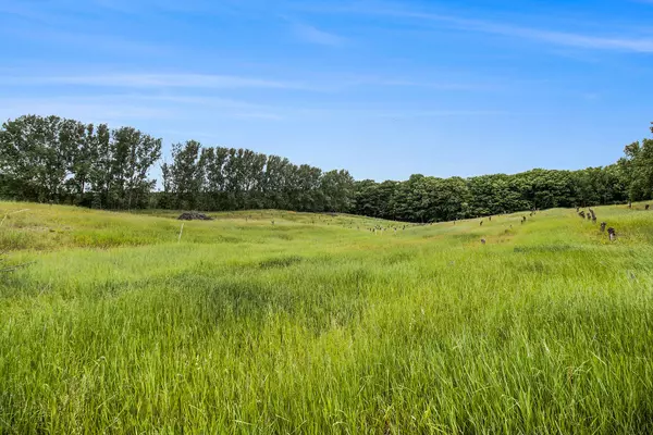 Mears, MI 49436,19.19 A W 40th Avenue