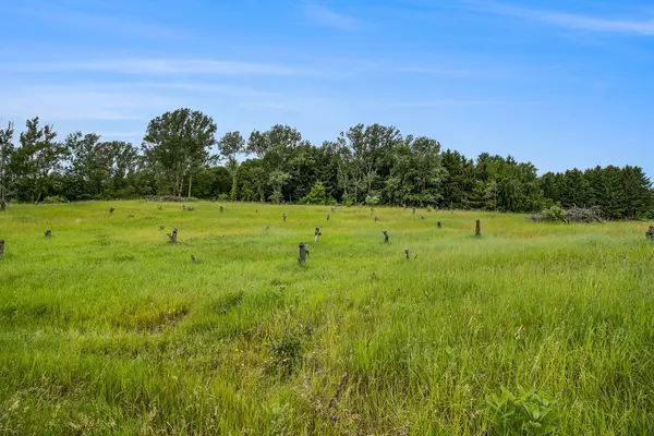 Mears, MI 49436,6.24 Acres W Tyler Road