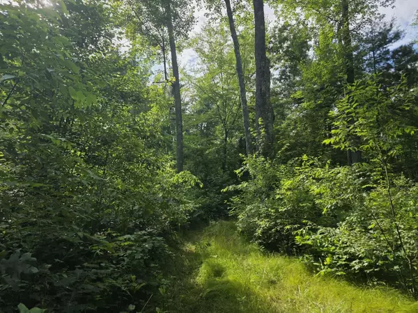 White Cloud, MI 49349,Michland Path