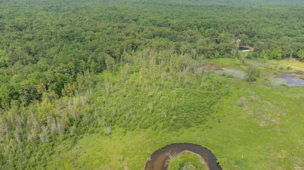 Pentwater, MI 49449,7.5 Wayne Avenue