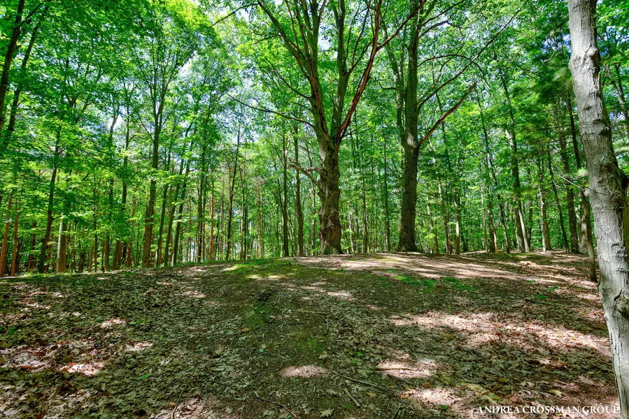 0 Stonebridge Trail #2, Fennville, MI 49408