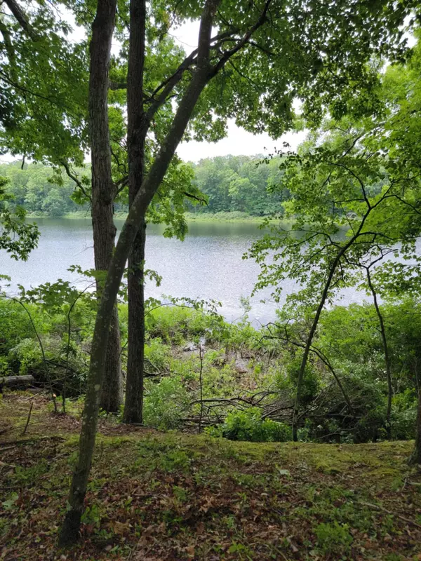 5133 N Waite Drive, Irons, MI 49644