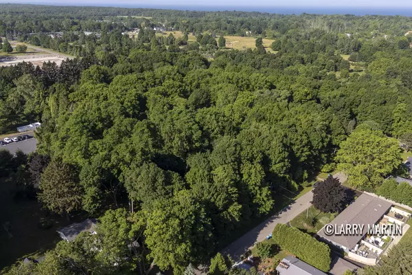 Douglas, MI 49406,387 Fremont Street