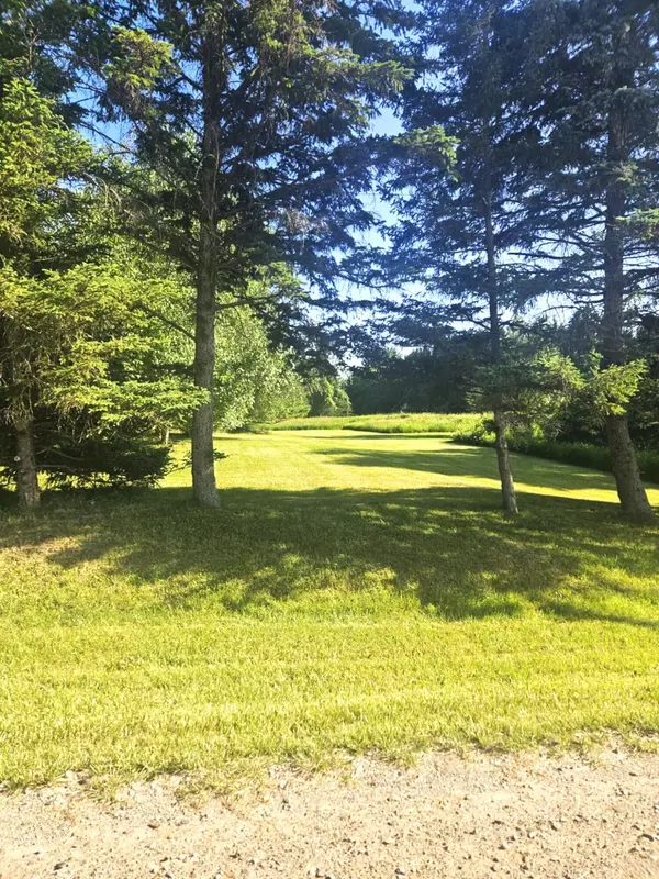 Bellevue, MI 49021,7805 Wildt Highway