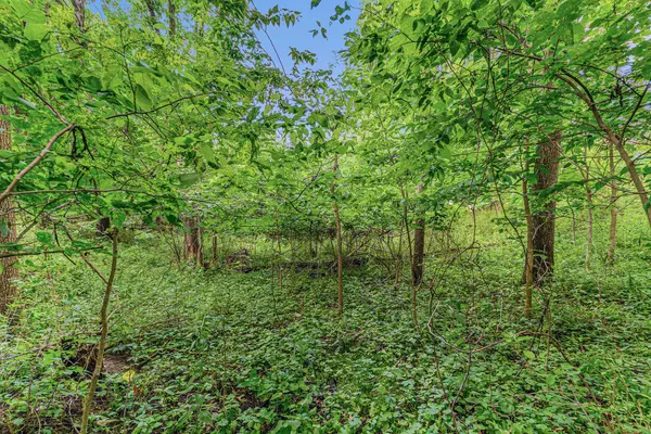 Springfield, MI 49037,V/L Avenue C