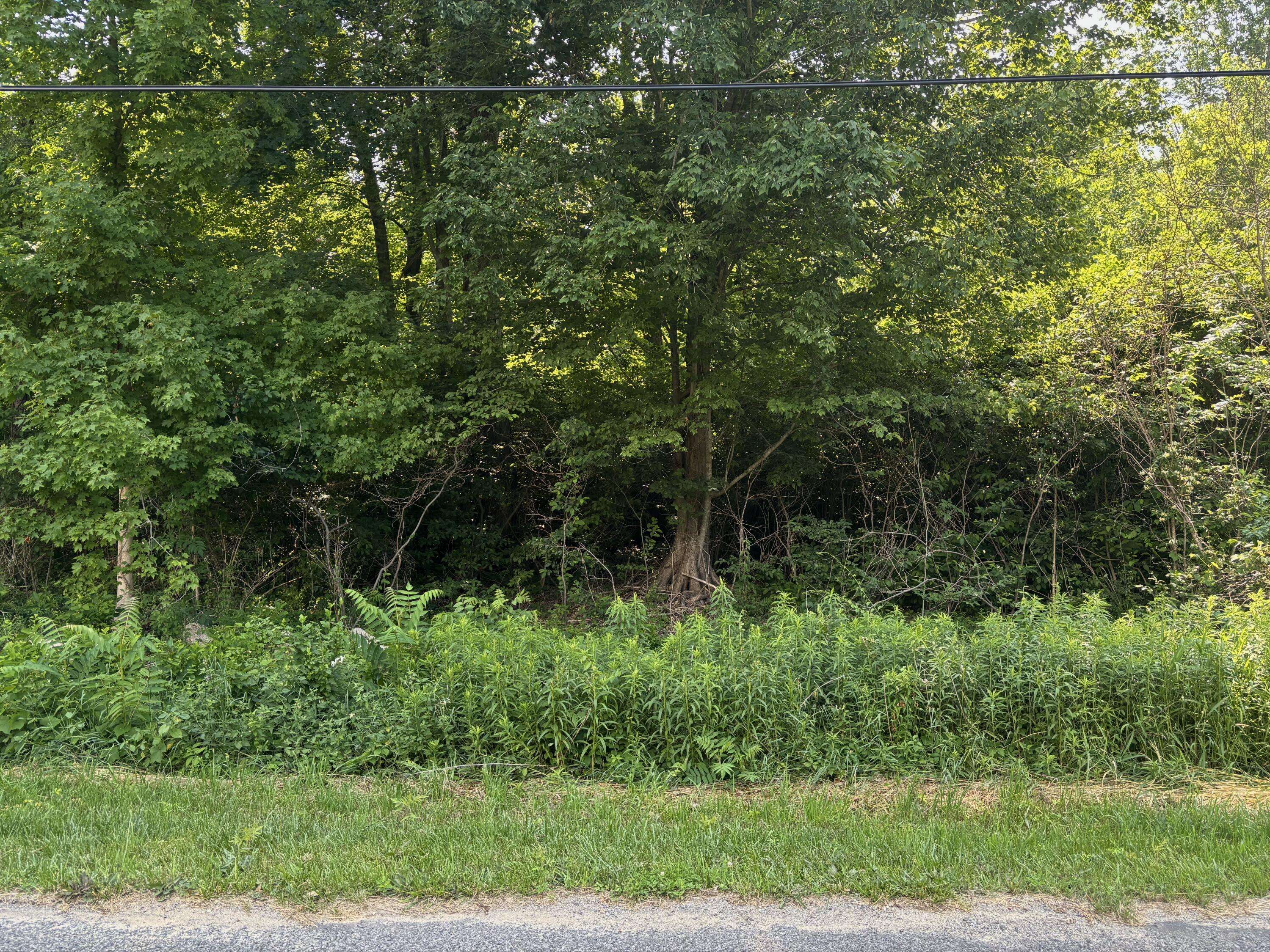 6427 Harrison Street, Coloma, MI 49038