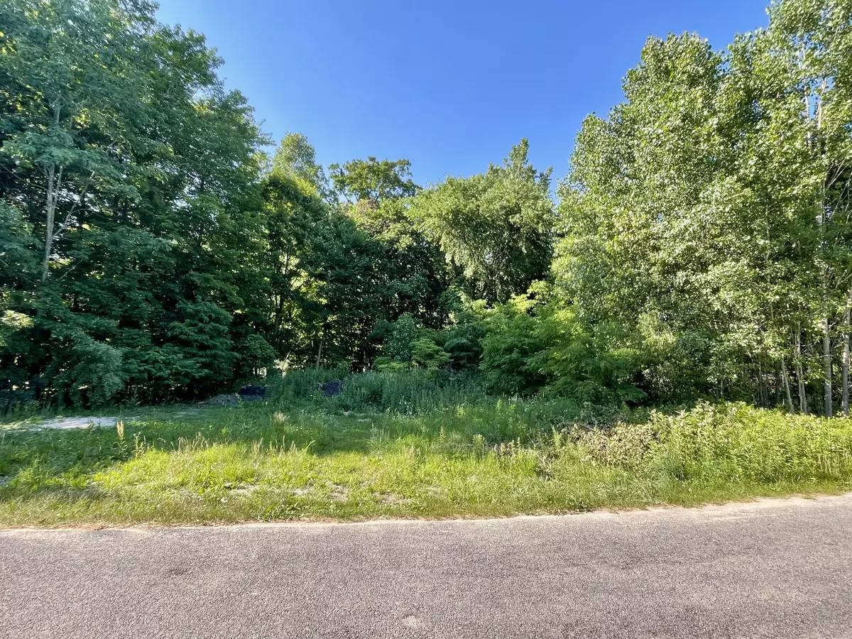 Stanton, MI 48888,V/L E Shore Drive