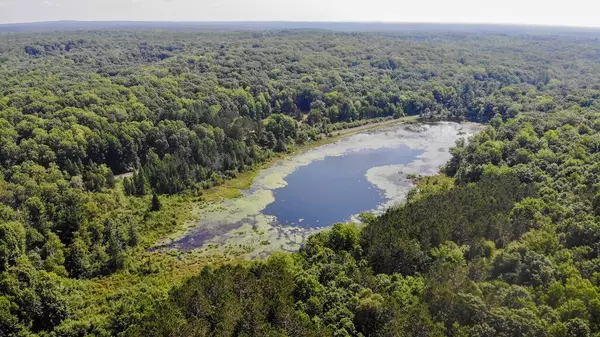 V/L Jackson Avenue, Lake, MI 48632