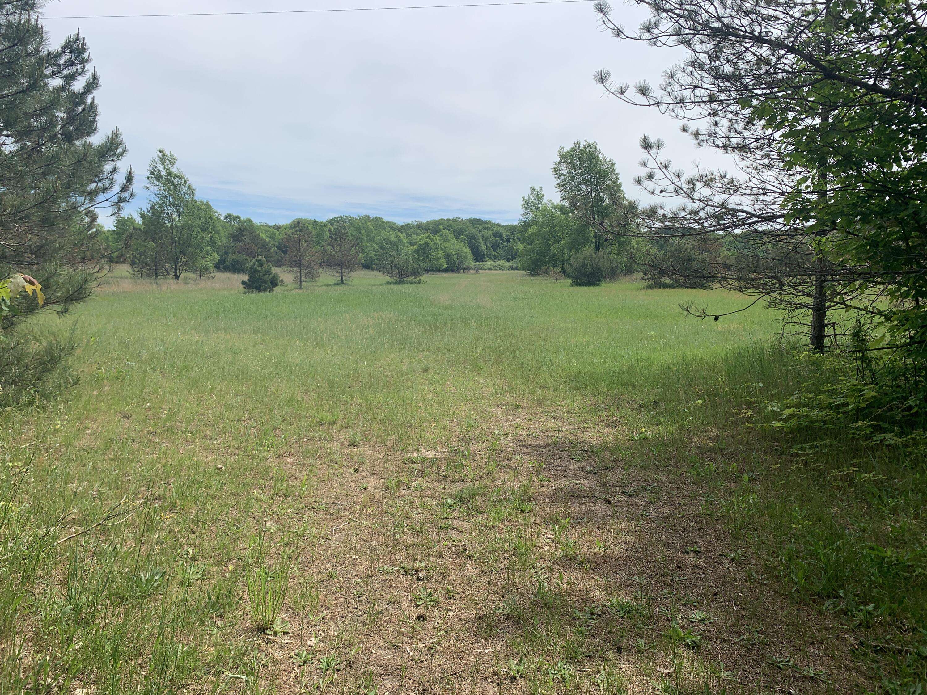 Harrietta, MI 49638,V/L S Grandview Highway