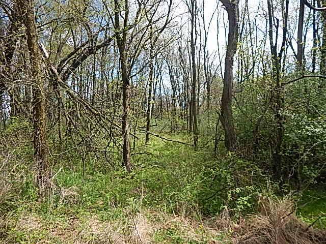 Jerome, MI 49249,7200 Combs Road