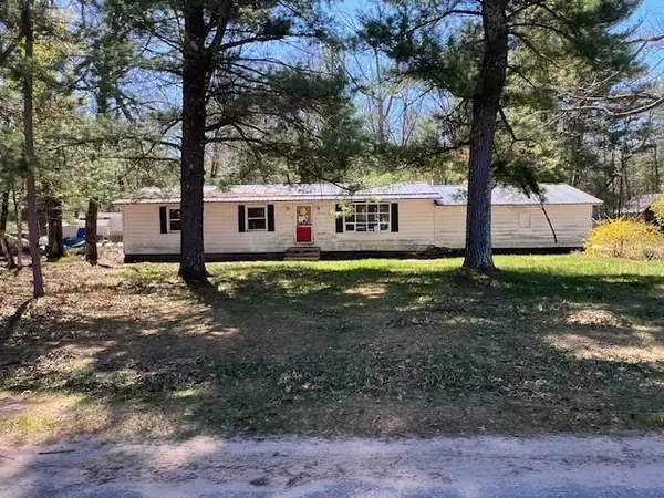 13553 S Star Lake Drive, Baldwin, MI 49304