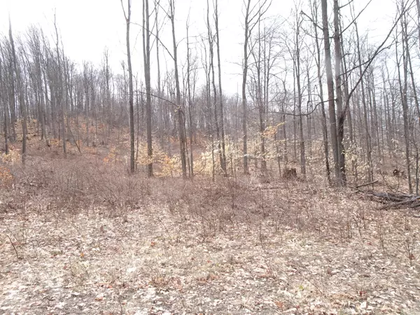 Bear Lake, MI 49614,Chief ''D'' Road