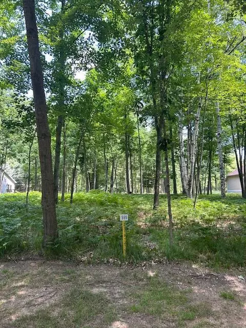 Stanwood, MI 49346,9406 Clubhouse W Drive #555