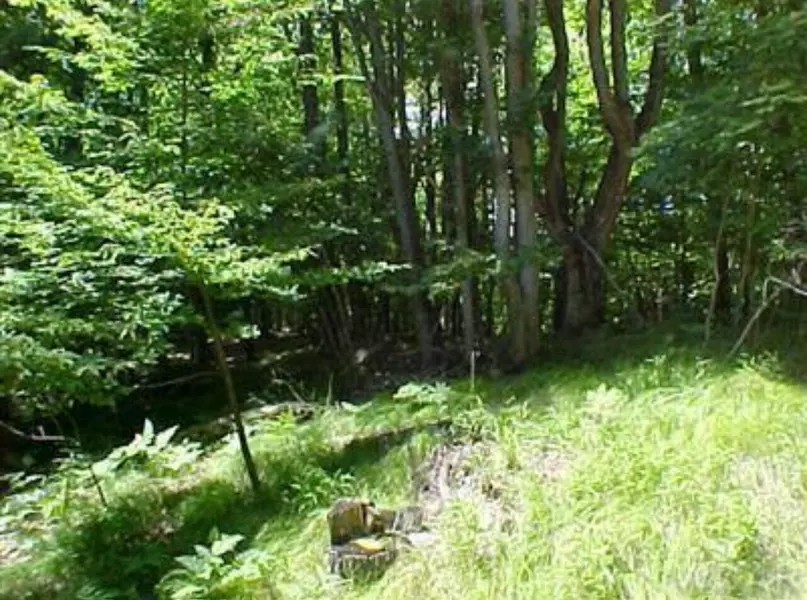 9619 N Calgary S Drive #644, Stanwood, MI 49346